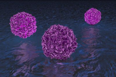 Polio virus