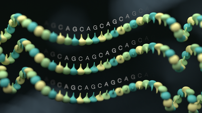 Three strands of DNA in yellow and green with repetitive bases