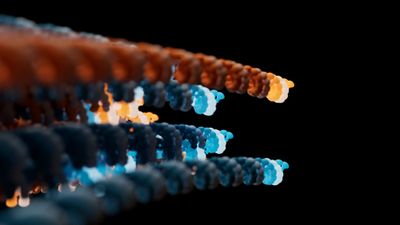 Streamlining routine CRISPR validation with Oxford Nanopore sequencing