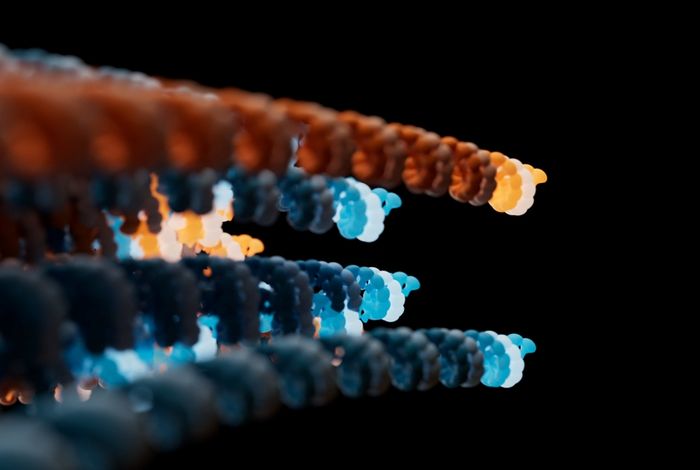 Workflow overview: amplicon sequencing