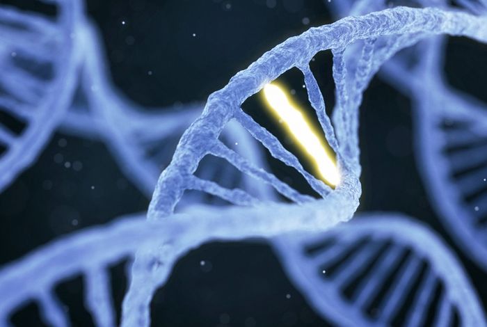 Variant segregation in rare disease singletons and duos using nanopore adaptive sampling