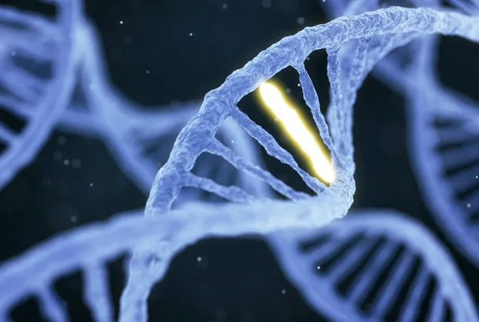 Variant segregation in rare disease singletons and duos using nanopore adaptive sampling