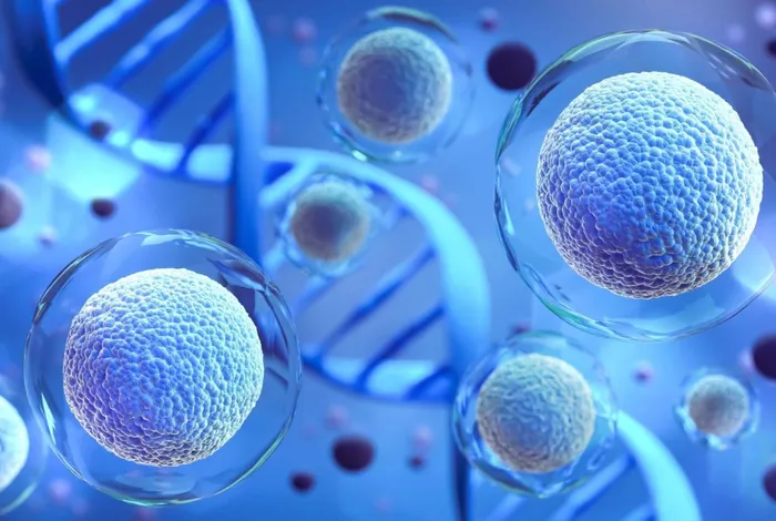 Pioneering single-cell sequencing approaches to understand the 'dark matter' of our genome