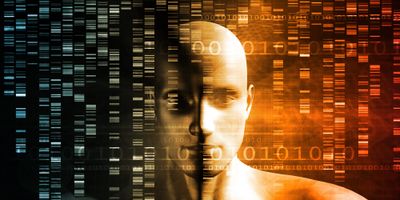 human face behind DNA gel