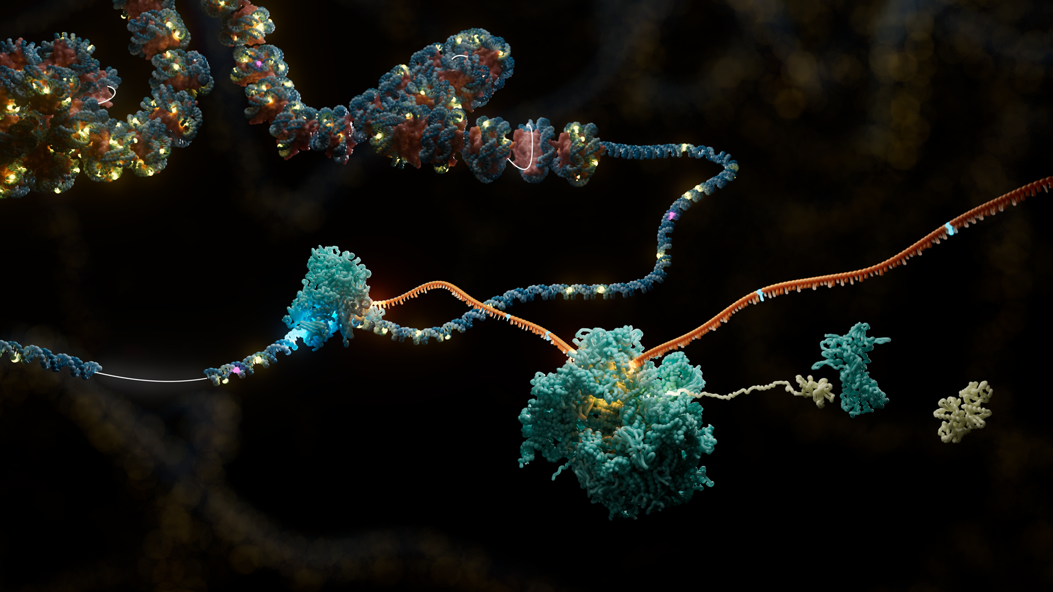 Webinar: Unlocking disease mechanisms with multiomic nanopore sequencing