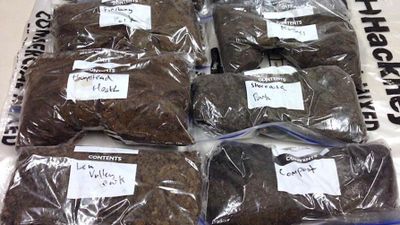 Measuring Soil Health With Nanopore Sequencing