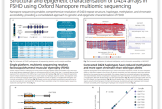 Poster on D4Z4 array characterisation in FSHD, featuring sequencing data, charts, and a DNA visual by Oxford Nanopore Technologies.