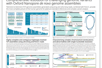 Poster detailing genomic variant resolution using Oxford Nanopore de novo genome assemblies, featuring charts and diagrams.