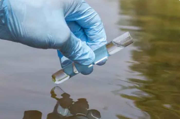 Determining genotype and antimicrobial resistance of Salmonella Typhi in environmental samples by amplicon sequencing