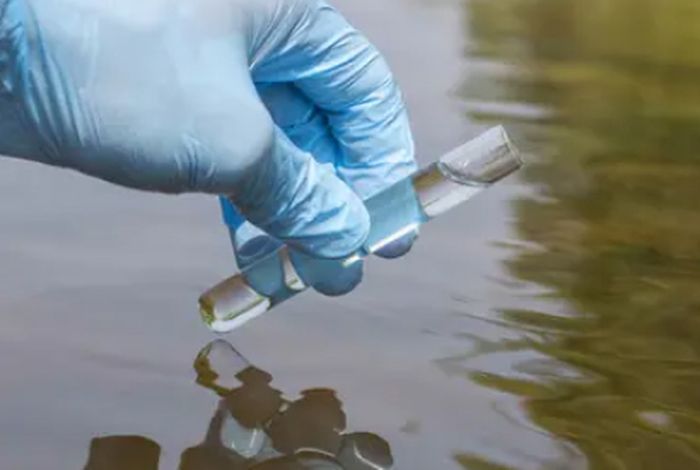 Determining genotype and antimicrobial resistance of Salmonella Typhi in environmental samples by amplicon sequencing