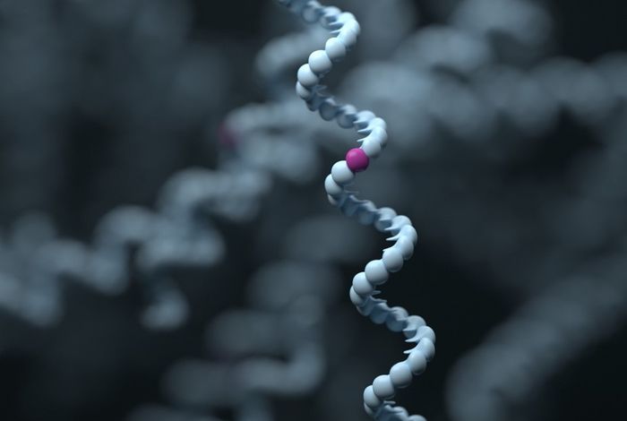 NCM 2023 Houston: Analysis of melanoma evolution using nanopore long-read sequencing data