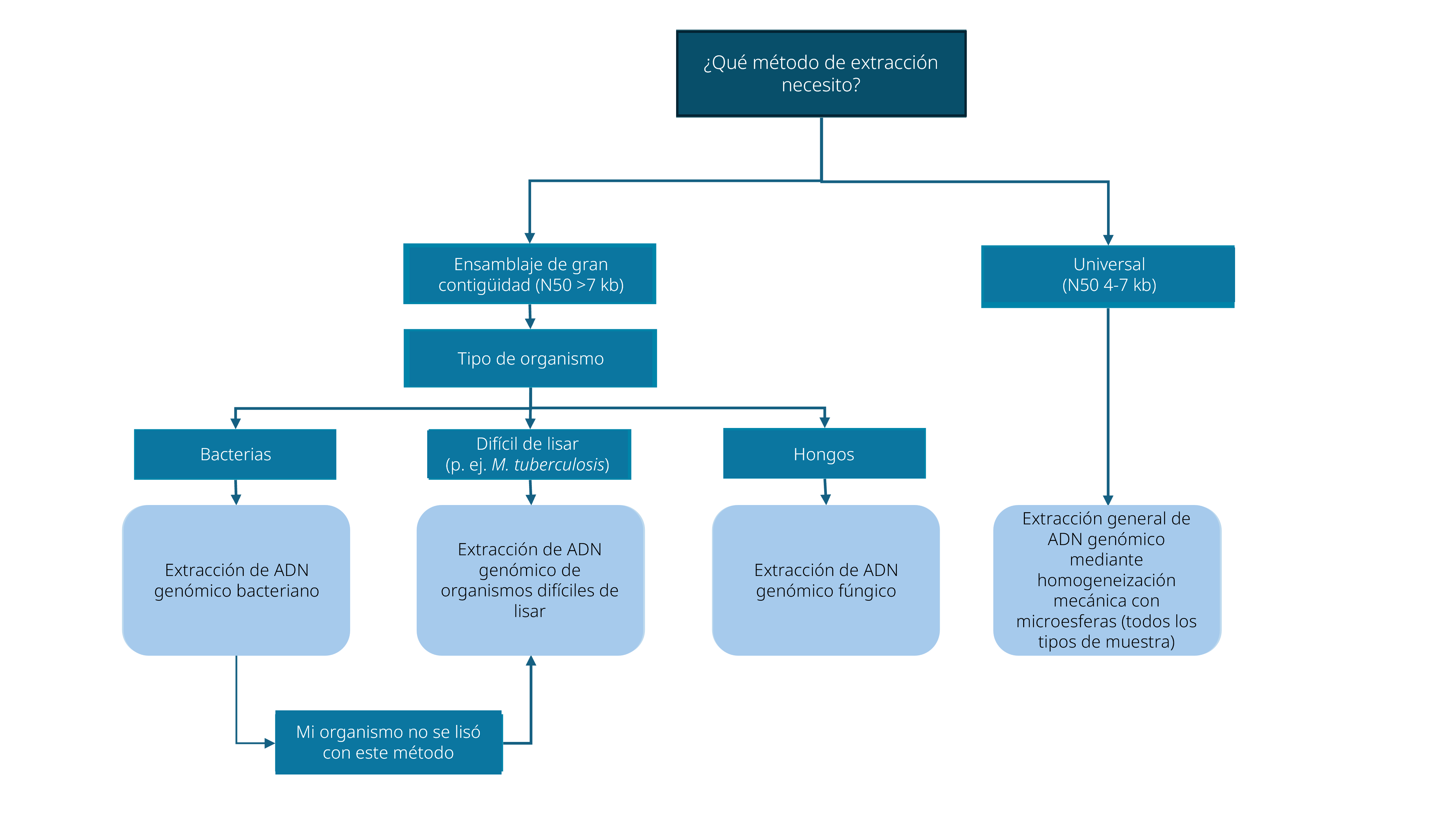 es-Decision tree extraction methods v02 es-Decision tree extraction methods v02