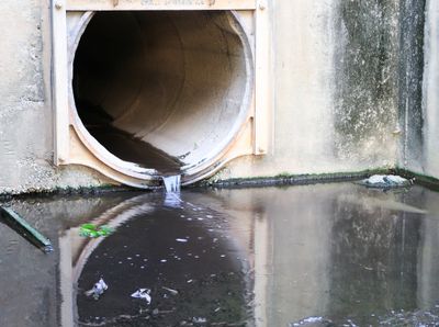 MinION Nanopore Sequencing Enables Correlation between Resistome Phenotype and Genotype of Coliform Bacteria in Municipal Sewage.