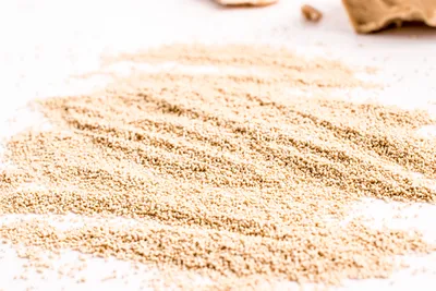 De novo yeast genome assemblies from MinION, PacBio and MiSeq platforms