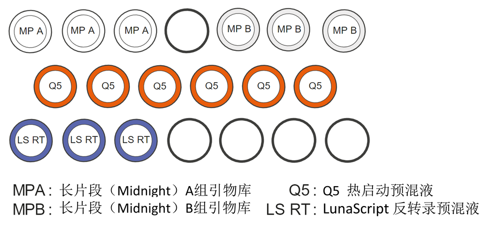 Chinese EXP-MRT001 Kit Content