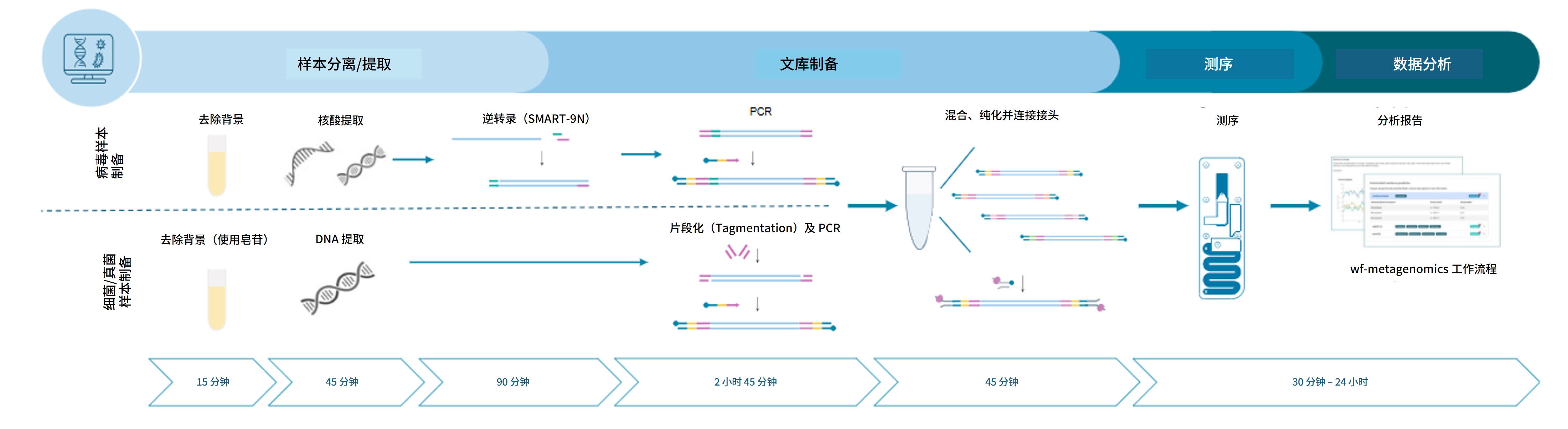 Chinese Rapid Metagenomics Workflow