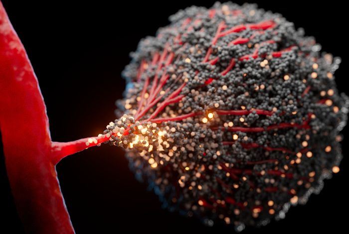 Nanopore-based consensus sequencing enables accurate multimodal tumour cell-free DNA profiling