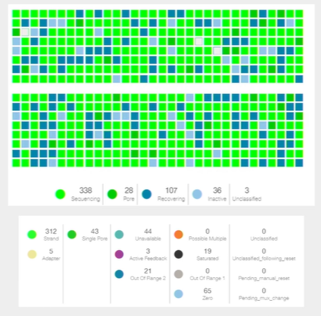 MinKNOW channels screenshot