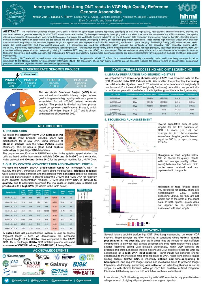 NCM 2022: Incorporating ultra-long Oxford Nanopore Technologies reads in VGP high quality reference genome assemblies