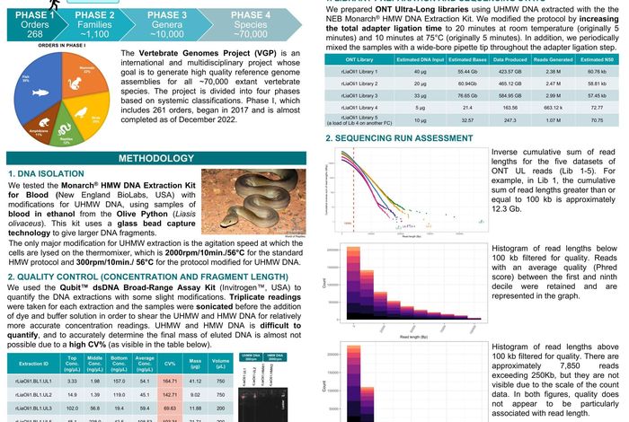 NCM 2022: Incorporating ultra-long Oxford Nanopore Technologies reads in VGP high quality reference genome assemblies