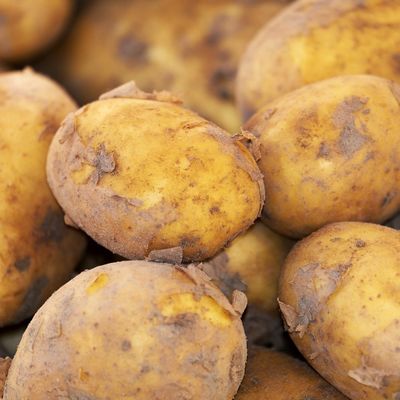 Construction of a chromosome-scale long-read reference genome assembly for potato