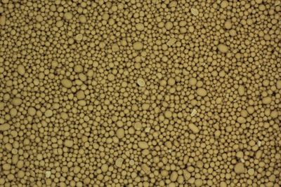 Supporting data for "de novo assembly and population genomic survey of natural yeast isolates with the Oxford Nanopore MinION sequencer"