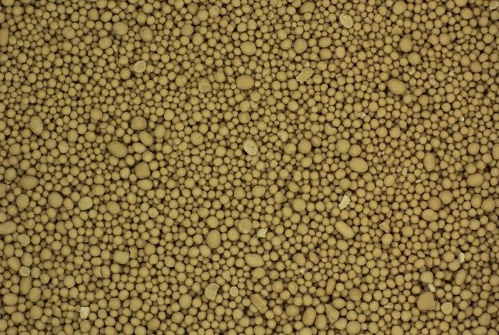 Supporting data for "de novo assembly and population genomic survey of natural yeast isolates with the Oxford Nanopore MinION sequencer"