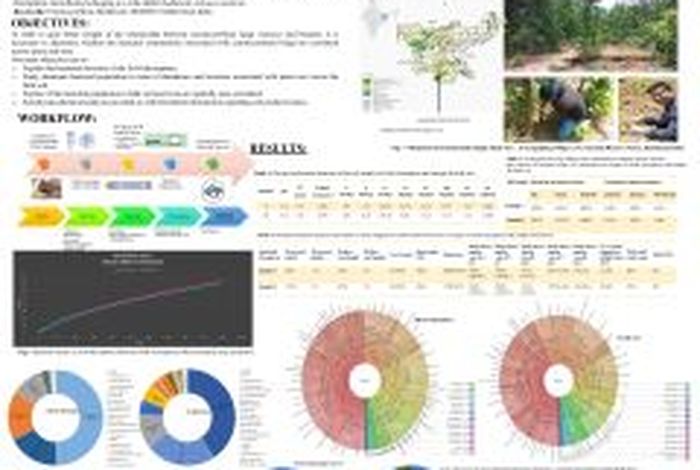 Diverse Rhizosphere Bacterial Communities Associated With Wild Edible Mushroom Astraeus asiaticus -Metagenomics Insights