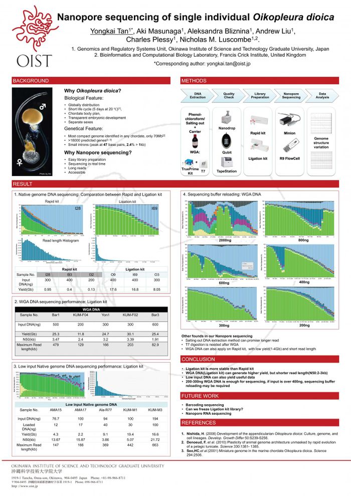Nanopore sequencing of single individual Oikopleura dioica