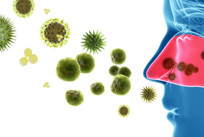 MinION nanopore sequencing of an influenza genome