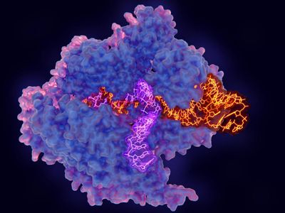 CRISPR-Cas9