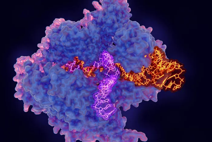 Verification of CRISPR editing by Xdrop™ Indirect Sequence Capture followed by short- and long- read sequencing