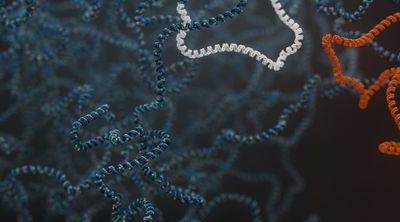 Oxford Nanopore at Pathology Update 2026