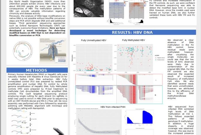 Novel detection method for 5mCpG on DNA Viruses: Hepatitis B Virus