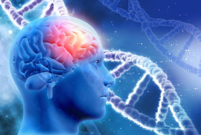 Using deep long-read RNAseq in Alzheimer’s disease brain to assess clinical relevance of RNA isoform diversity