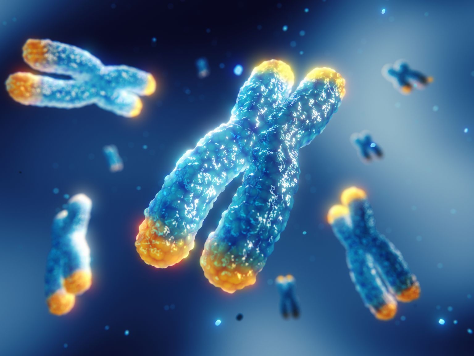 TARPON - a telomere analysis and research pipeline optimised for nanopore