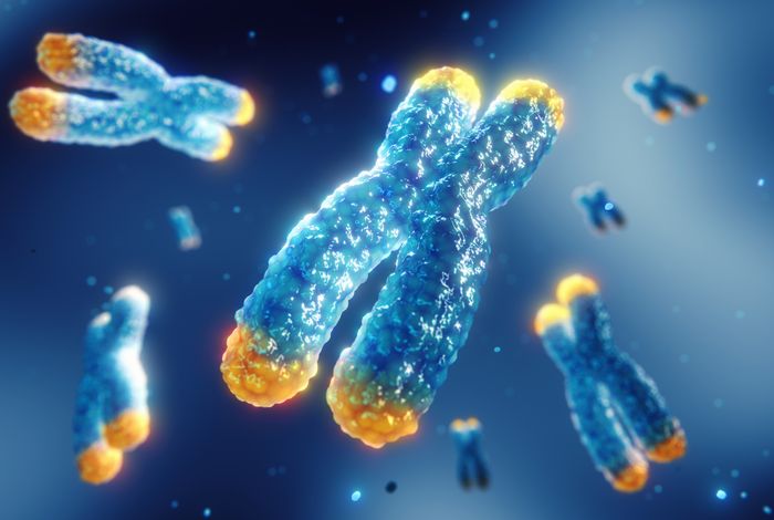 TARPON - a telomere analysis and research pipeline optimised for nanopore