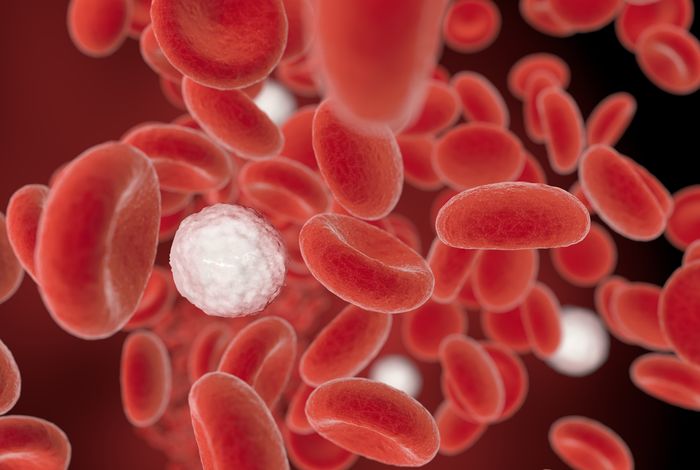 Accurate typing of class I human leukocyte antigen by Oxford nanopore sequencing