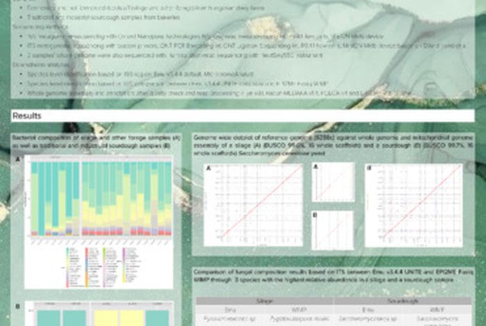 The Secrets of Yeasts: exploring the hidden mycobiome of industrial samples from Hungary