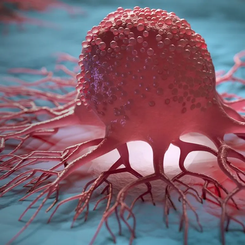 Campaign_Cancer_Social_TW_1024x512