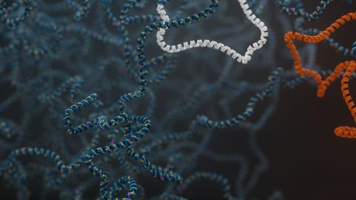 Screening of hidden pathogenic structural variants in PRKN