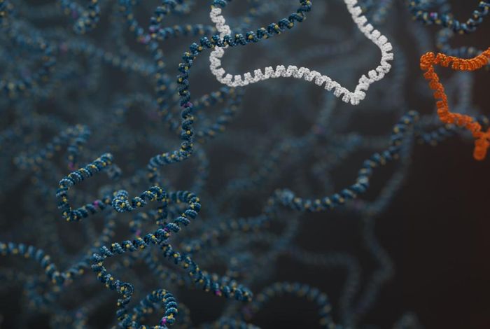 Science unlocked: publication picks from January 2025