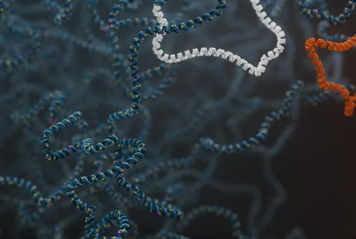 Science unlocked: publication picks from January 2025