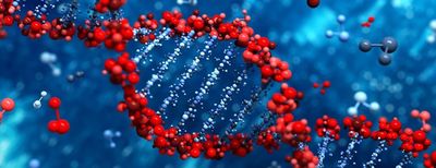 nPhase: An accurate and contiguous phasing method for polyploids