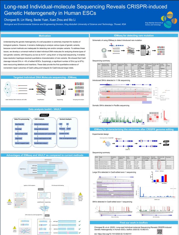 Long-read Individual-molecule Sequencing Reveals CRISPR-induced Genetic Heterogeneity in Human ESCs