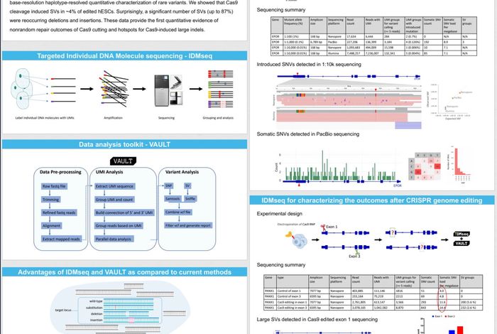 Long-read Individual-molecule Sequencing Reveals CRISPR-induced Genetic Heterogeneity in Human ESCs