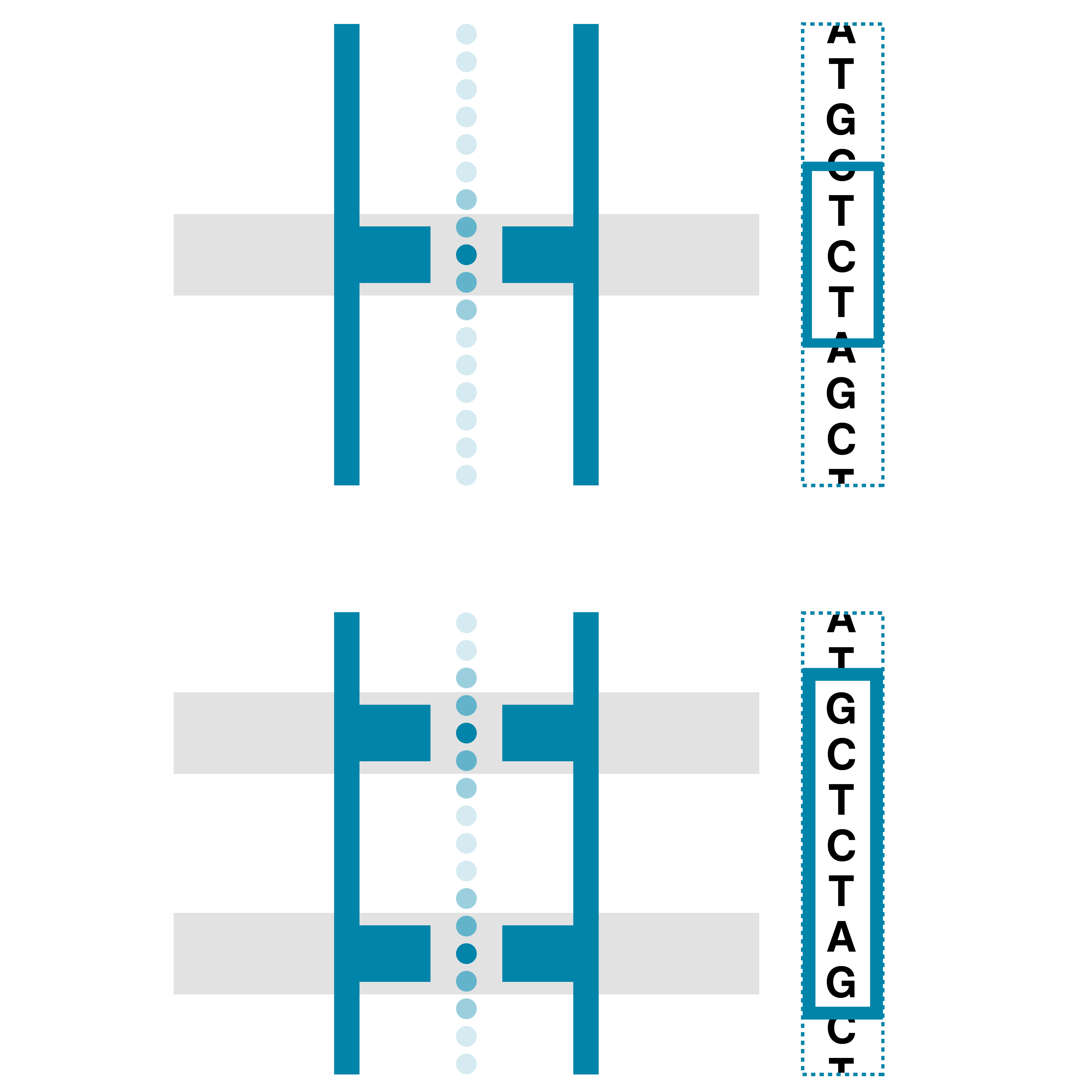 Different types of nanopore