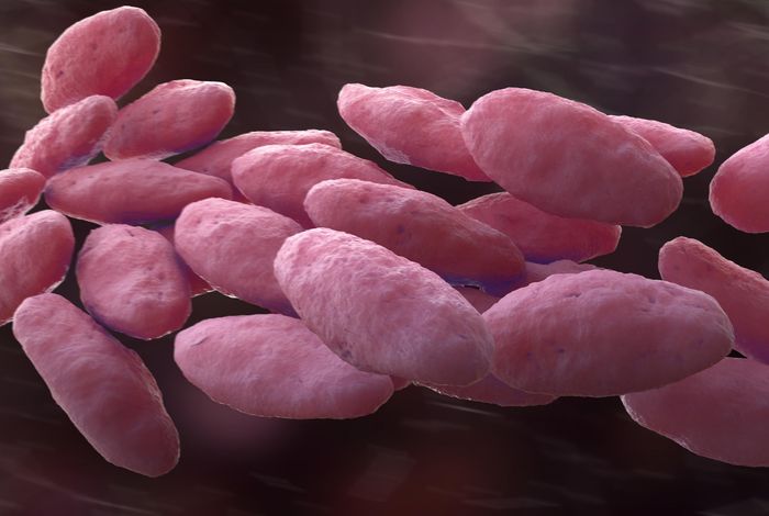 The rapid detection of a neonatal unit outbreak of a wild-type *Klebsiella variicola* using decentralised Oxford Nanopore sequencing