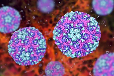 false colour 3d illustration of enteroviruses - coxsackievirus