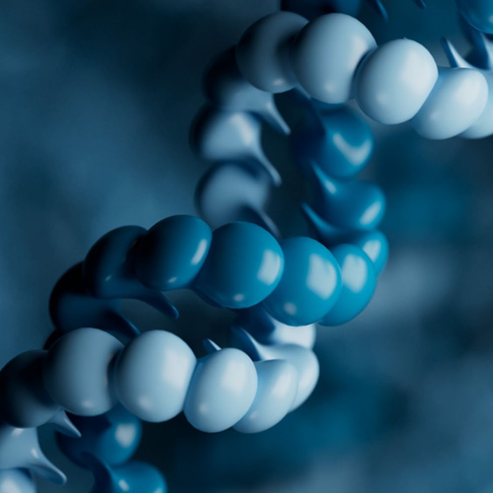 Short reads 3D render